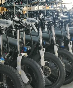 Electric Bikes